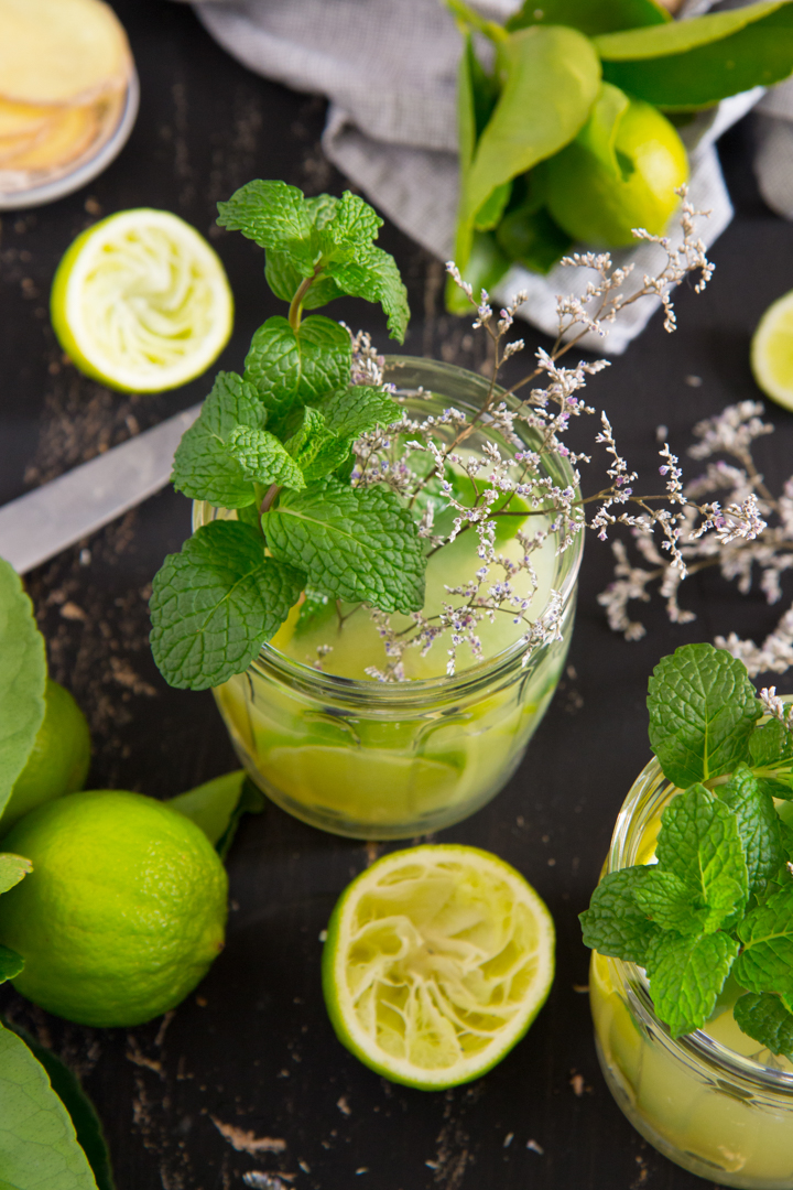 WEB Ginger Limonade_-47